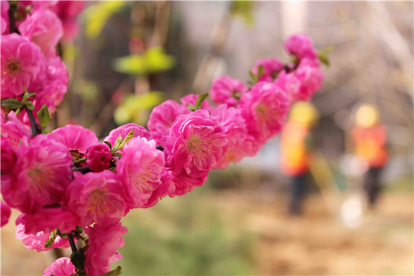 BG����(�й�����)Ψһ�ٷ���վ