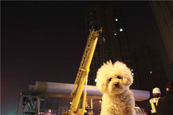 BG����(�й�����)Ψһ�ٷ���վ