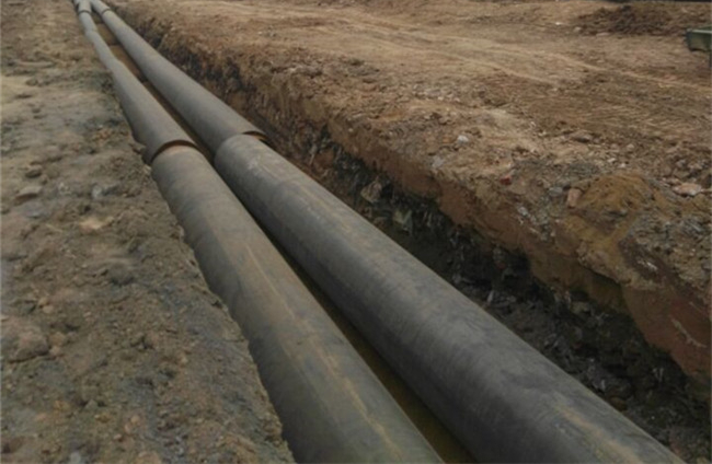 BG����(�й�����)Ψһ�ٷ���վ